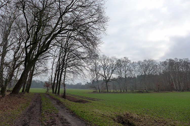 Klicke auf die Grafik für eine vergrößerte Ansicht  Name: Weser_306_2.jpg Ansichten: 0 Größe: 191,9 KB ID: 3178921