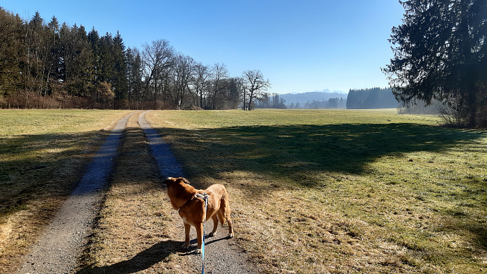 Klicke auf die Grafik für eine vergrößerte Ansicht  Name: Bild10.jpg Ansichten: 0 Größe: 4,60 MB ID: 3183440