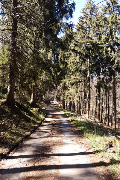 Klicke auf die Grafik für eine vergrößerte Ansicht  Name: 220417-037.jpg Ansichten: 0 Größe: 149,8 KB ID: 3183491