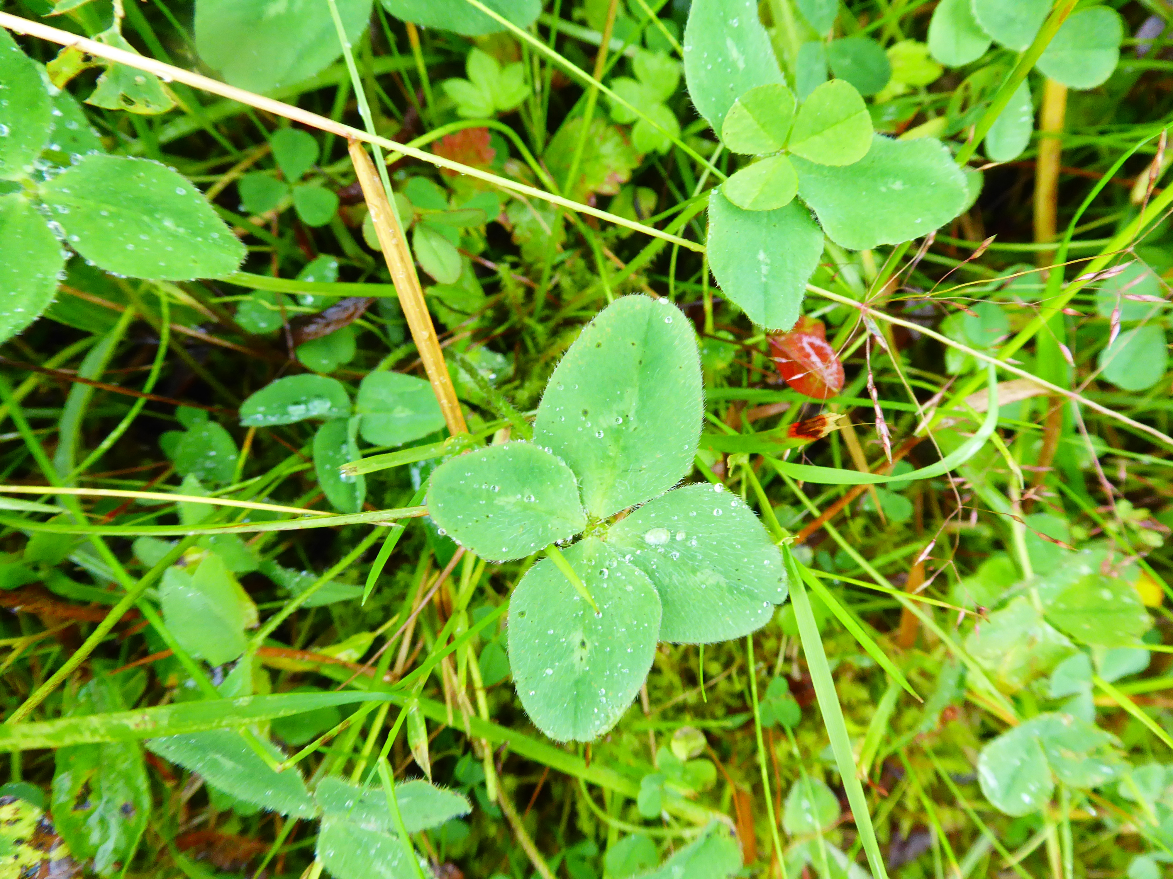 Klicke auf die Grafik für eine vergrößerte Ansicht

Name: P1040208 - Kopie.jpg
Ansichten: 573
Größe: 3,41 MB
ID: 3184338