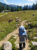 Klicke auf die Grafik für eine vergrößerte Ansicht  Name: IMG_20220703_145231.jpg Ansichten: 0 Größe: 335,0 KB ID: 3185306