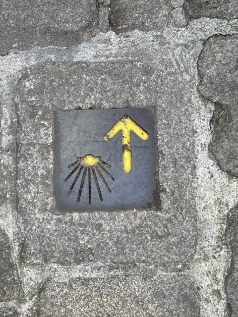 Klicke auf die Grafik für eine vergrößerte Ansicht

Name: A1392271-0DAD-4672-AF3A-C622897E0945.jpg
Ansichten: 389
Größe: 156,7 KB
ID: 3185515