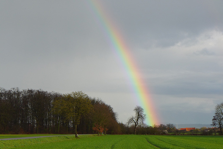 Klicke auf die Grafik für eine vergrößerte Ansicht  Name: rainbow.jpg Ansichten: 97 Größe: 74,8 KB ID: 3190188