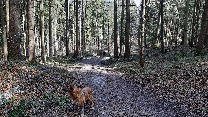 Klicke auf die Grafik für eine vergrößerte Ansicht  Name: Bild09.jpg Ansichten: 0 Größe: 5,51 MB ID: 3190318