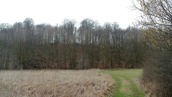 Klicke auf die Grafik für eine vergrößerte Ansicht  Name: Burg_März_bearbeitet - 6.jpg Ansichten: 0 Größe: 912,7 KB ID: 3190805