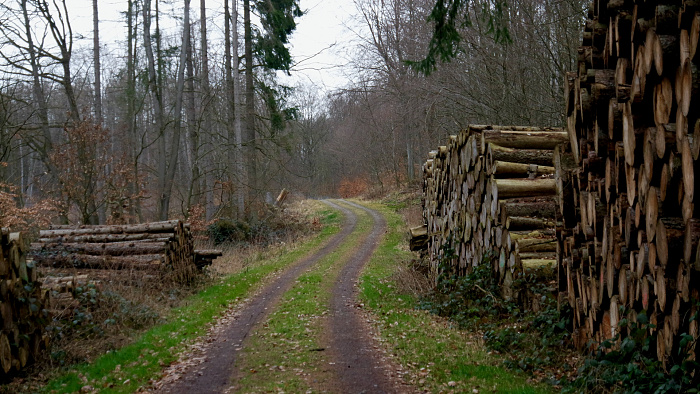 Klicke auf die Grafik für eine vergrößerte Ansicht  Name: Burg_März_bearbeitet - 2.jpg Ansichten: 0 Größe: 812,2 KB ID: 3190811