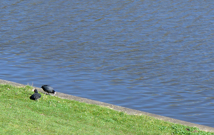 Klicke auf die Grafik für eine vergrößerte Ansicht  Name: Weser_561.jpg Ansichten: 0 Größe: 163,2 KB ID: 3191857