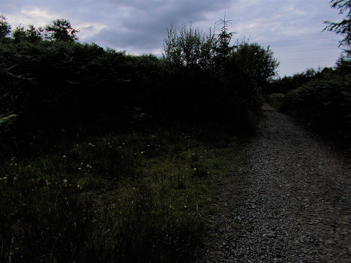 Klicke auf die Grafik für eine vergrößerte Ansicht  Name: 2022-07-22 West Highland Way 046.jpg Ansichten: 0 Größe: 3,68 MB ID: 3192220
