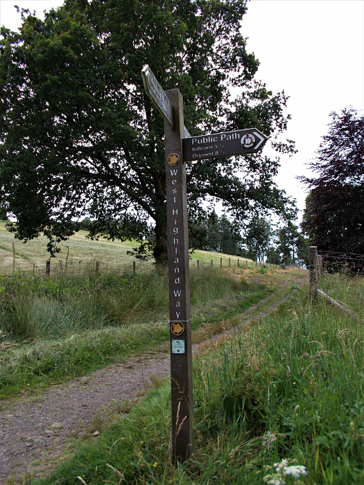 Klicke auf die Grafik für eine vergrößerte Ansicht

Name: 2022-07-23 West Highland Way 025.jpg
Ansichten: 1130
Größe: 5,25 MB
ID: 3192718