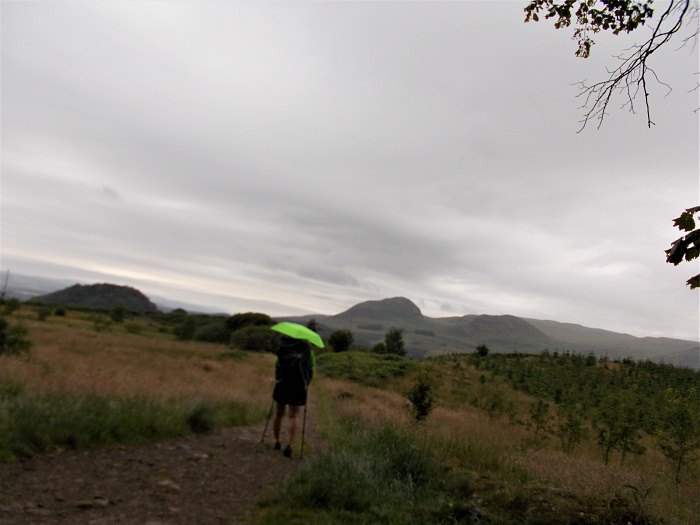 Klicke auf die Grafik für eine vergrößerte Ansicht

Name: 2022-07-23 West Highland Way 053.jpg
Ansichten: 1108
Größe: 3,00 MB
ID: 3192724