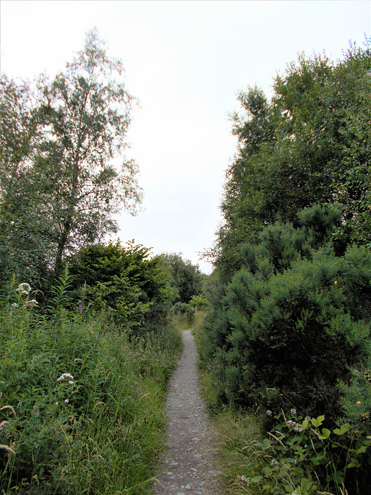Klicke auf die Grafik für eine vergrößerte Ansicht

Name: 2022-07-23 West Highland Way 196.jpg
Ansichten: 1094
Größe: 4,91 MB
ID: 3192751