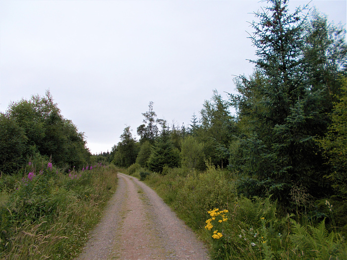 Klicke auf die Grafik für eine vergrößerte Ansicht

Name: 2022-07-23 West Highland Way 197.jpg
Ansichten: 1087
Größe: 4,11 MB
ID: 3192752