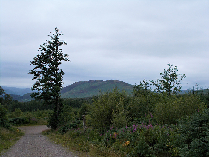 Klicke auf die Grafik für eine vergrößerte Ansicht

Name: 2022-07-23 West Highland Way 210.jpg
Ansichten: 1089
Größe: 3,78 MB
ID: 3192754