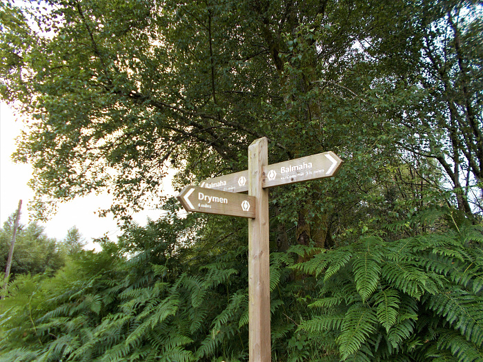 Klicke auf die Grafik für eine vergrößerte Ansicht

Name: 2022-07-23 West Highland Way 216.jpg
Ansichten: 1098
Größe: 5,75 MB
ID: 3192759