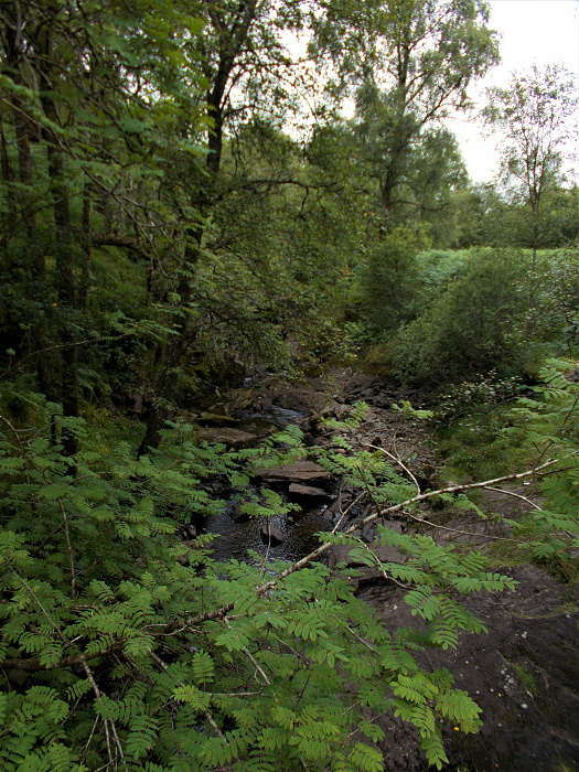 Klicke auf die Grafik für eine vergrößerte Ansicht

Name: 2022-07-23 West Highland Way 238.jpg
Ansichten: 1086
Größe: 4,89 MB
ID: 3192763