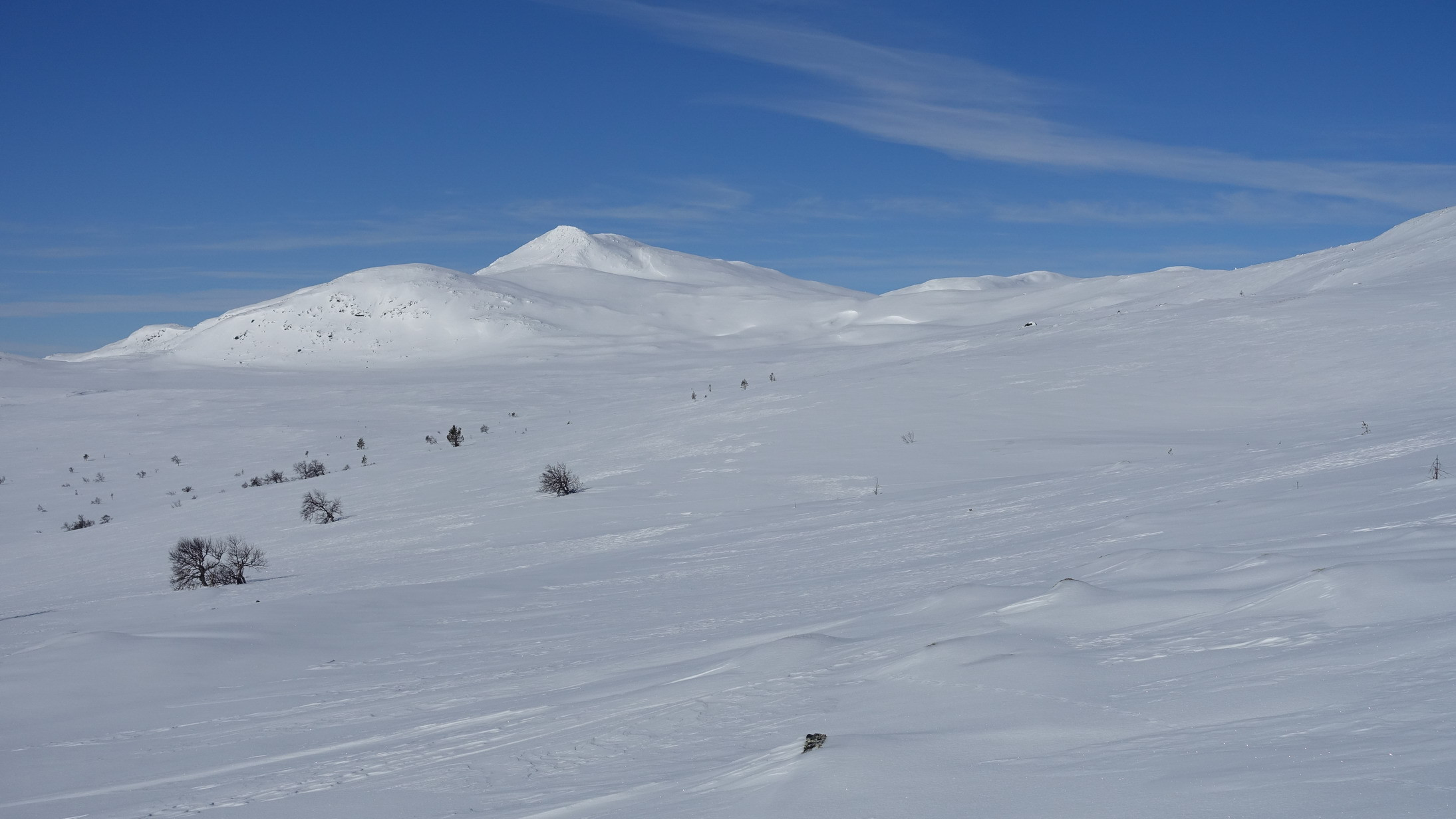 Klicke auf die Grafik für eine vergrößerte Ansicht  Name: Norway030_resize.jpg Ansichten: 0 Größe: 367,1 KB ID: 3192959