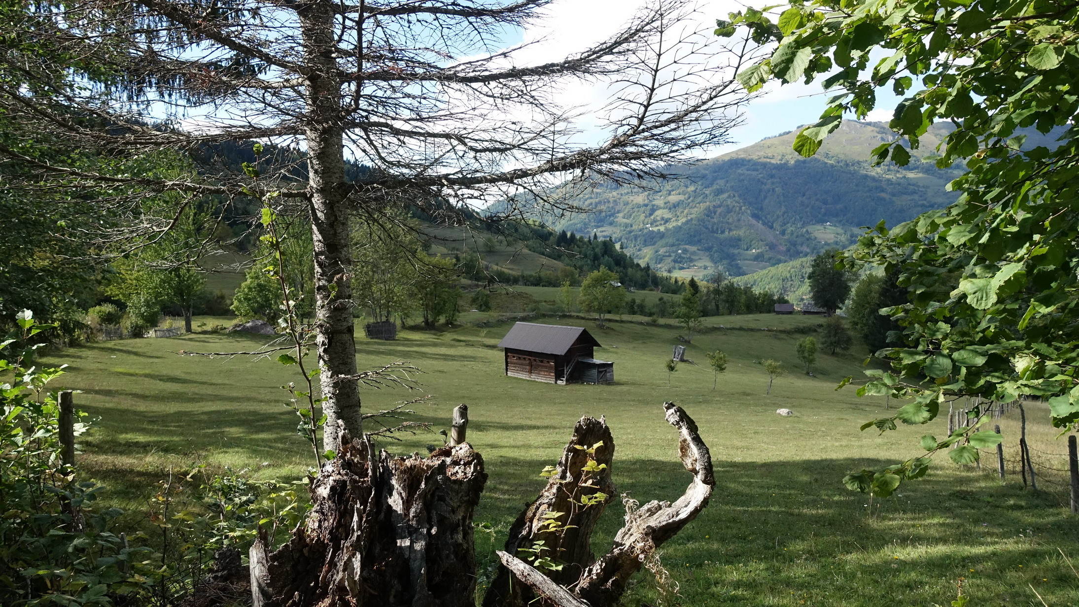 Klicke auf die Grafik für eine vergrößerte Ansicht

Name: Albania047_resize.jpg
Ansichten: 1451
Größe: 1,24 MB
ID: 3193748