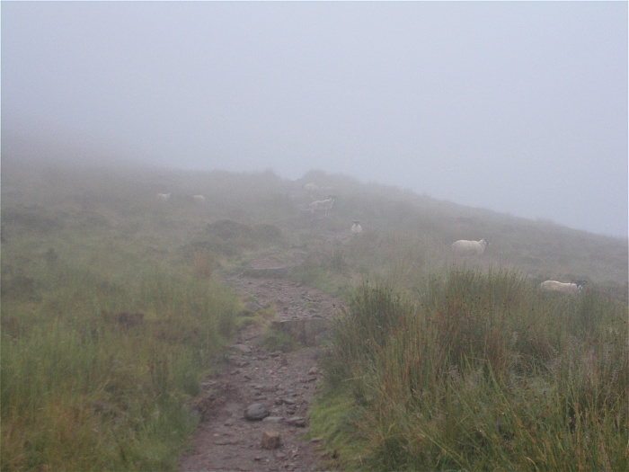 Klicke auf die Grafik für eine vergrößerte Ansicht

Name: 2022-07-24 West Highland Way 014.jpg
Ansichten: 791
Größe: 3,48 MB
ID: 3193908