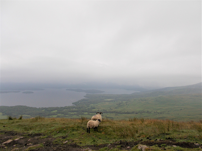 Klicke auf die Grafik für eine vergrößerte Ansicht

Name: 2022-07-24 West Highland Way 052.jpg
Ansichten: 718
Größe: 2,96 MB
ID: 3193914