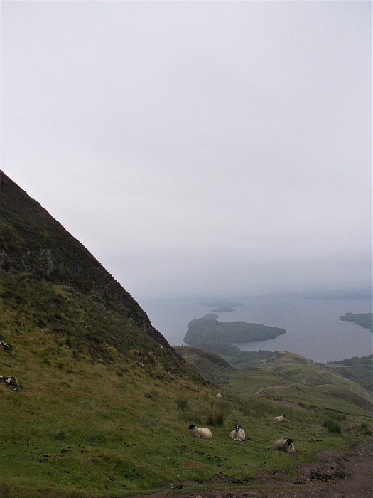 Klicke auf die Grafik für eine vergrößerte Ansicht

Name: 2022-07-24 West Highland Way 059.jpg
Ansichten: 722
Größe: 3,06 MB
ID: 3193918