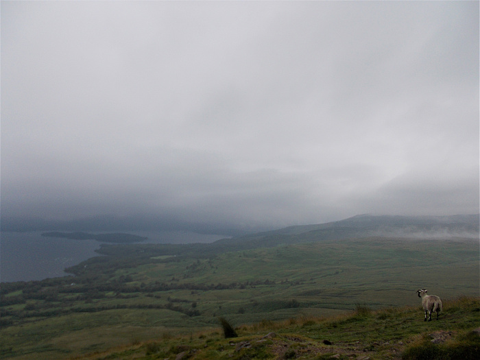 Klicke auf die Grafik für eine vergrößerte Ansicht

Name: 2022-07-24 West Highland Way 066.jpg
Ansichten: 710
Größe: 2,97 MB
ID: 3193919