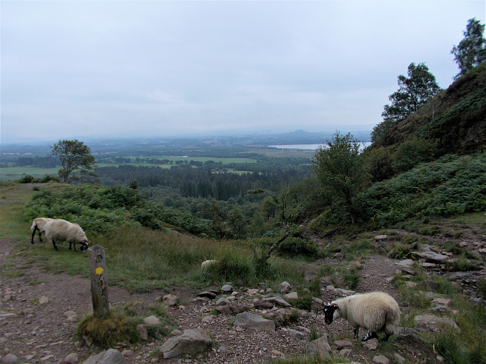 Klicke auf die Grafik für eine vergrößerte Ansicht

Name: 2022-07-24 West Highland Way 085.jpg
Ansichten: 719
Größe: 3,79 MB
ID: 3193921