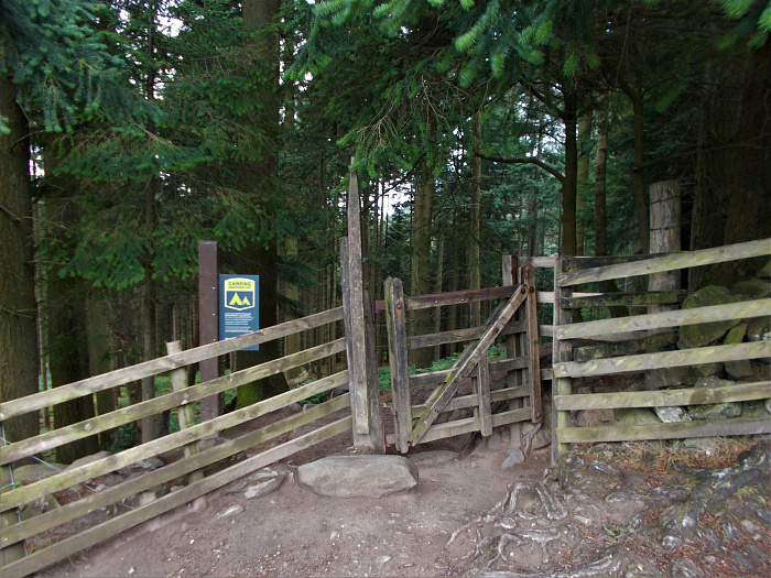 Klicke auf die Grafik für eine vergrößerte Ansicht

Name: 2022-07-24 West Highland Way 095.jpg
Ansichten: 723
Größe: 3,94 MB
ID: 3193923