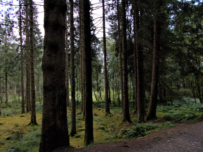 Klicke auf die Grafik für eine vergrößerte Ansicht

Name: 2022-07-24 West Highland Way 098.jpg
Ansichten: 724
Größe: 4,44 MB
ID: 3193924