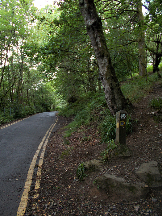Klicke auf die Grafik für eine vergrößerte Ansicht

Name: 2022-07-24 West Highland Way 127.jpg
Ansichten: 723
Größe: 5,07 MB
ID: 3193930
