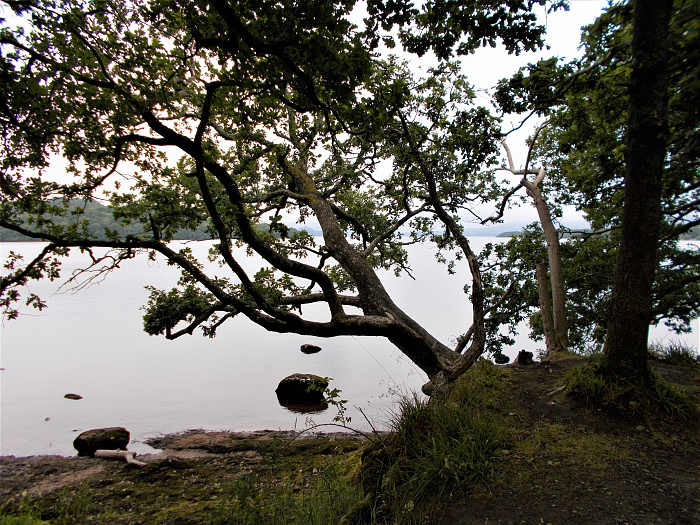 Klicke auf die Grafik für eine vergrößerte Ansicht

Name: 2022-07-24 West Highland Way 148.jpg
Ansichten: 725
Größe: 5,08 MB
ID: 3193938