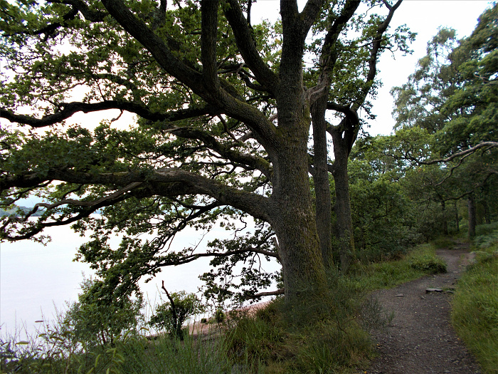 Klicke auf die Grafik für eine vergrößerte Ansicht

Name: 2022-07-24 West Highland Way 153.jpg
Ansichten: 725
Größe: 5,24 MB
ID: 3193940