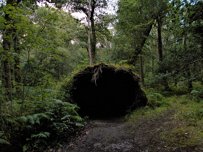 Klicke auf die Grafik für eine vergrößerte Ansicht

Name: 2022-07-24 West Highland Way 167.jpg
Ansichten: 708
Größe: 5,18 MB
ID: 3193950