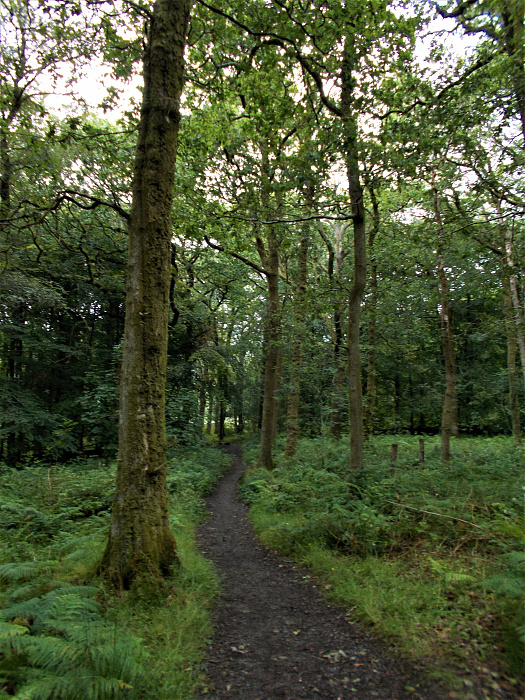 Klicke auf die Grafik für eine vergrößerte Ansicht

Name: 2022-07-24 West Highland Way 169.jpg
Ansichten: 703
Größe: 5,04 MB
ID: 3193951