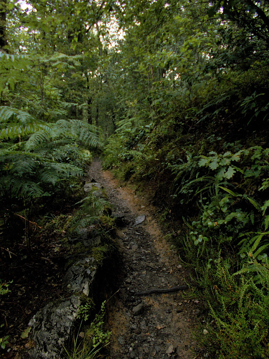 Klicke auf die Grafik für eine vergrößerte Ansicht

Name: 2022-07-24 West Highland Way 187.jpg
Ansichten: 713
Größe: 4,63 MB
ID: 3193954
