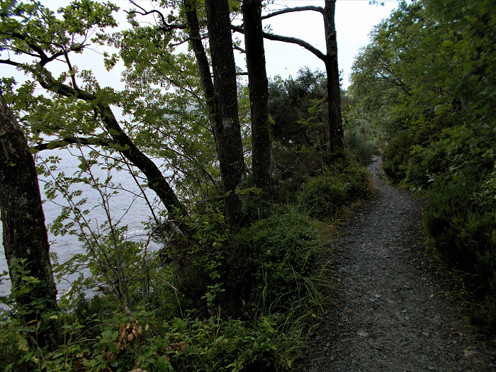 Klicke auf die Grafik für eine vergrößerte Ansicht

Name: 2022-07-24 West Highland Way 206.jpg
Ansichten: 693
Größe: 4,92 MB
ID: 3193958