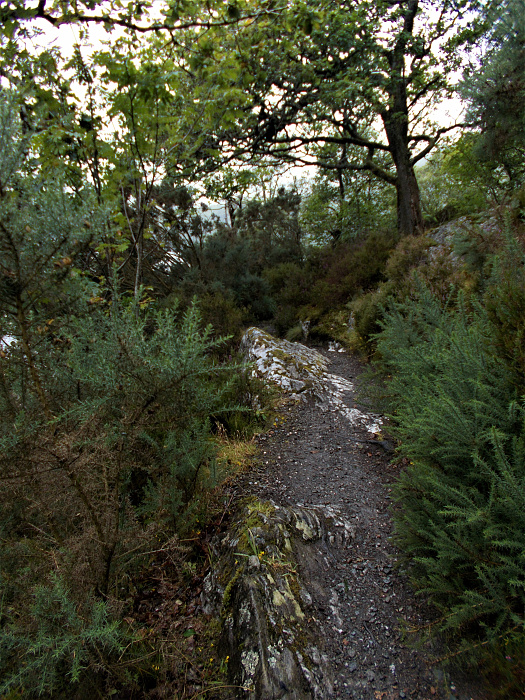 Klicke auf die Grafik für eine vergrößerte Ansicht

Name: 2022-07-24 West Highland Way 208.jpg
Ansichten: 712
Größe: 5,16 MB
ID: 3193959