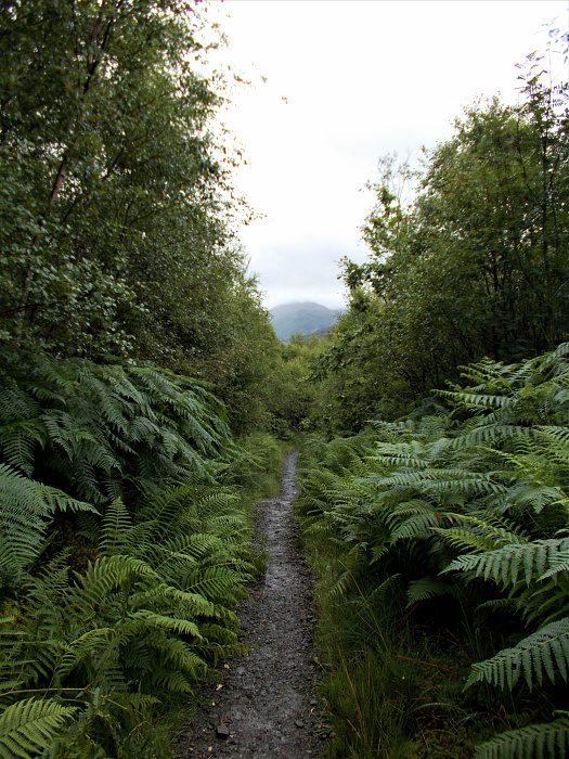 Klicke auf die Grafik für eine vergrößerte Ansicht

Name: 2022-07-24 West Highland Way 222.jpg
Ansichten: 688
Größe: 4,58 MB
ID: 3193962