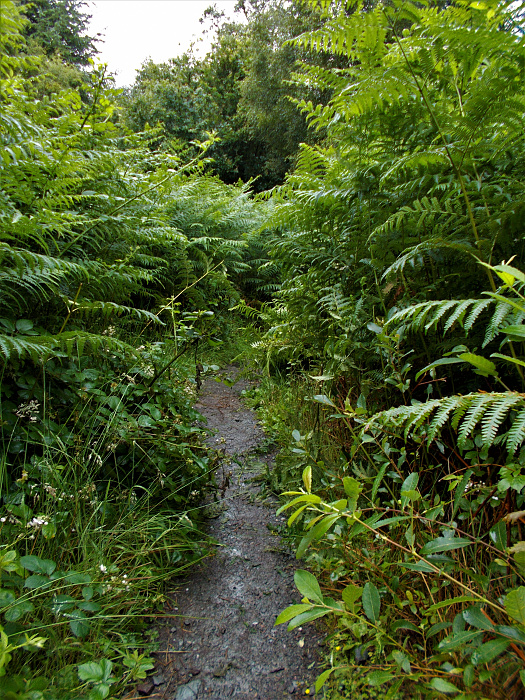 Klicke auf die Grafik für eine vergrößerte Ansicht

Name: 2022-07-24 West Highland Way 224.jpg
Ansichten: 702
Größe: 6,02 MB
ID: 3193963