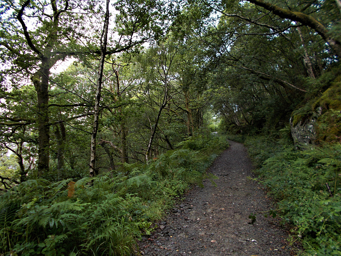 Klicke auf die Grafik für eine vergrößerte Ansicht

Name: 2022-07-24 West Highland Way 254.jpg
Ansichten: 693
Größe: 5,55 MB
ID: 3193972