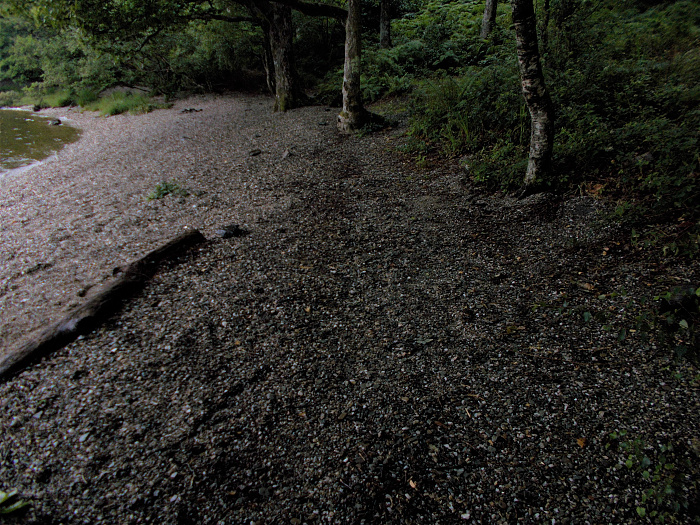 Klicke auf die Grafik für eine vergrößerte Ansicht

Name: 2022-07-24 West Highland Way 255.jpg
Ansichten: 690
Größe: 5,04 MB
ID: 3193973