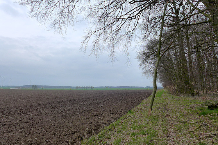 Klicke auf die Grafik für eine vergrößerte Ansicht  Name: Weser_578.jpg Ansichten: 0 Größe: 196,3 KB ID: 3194597