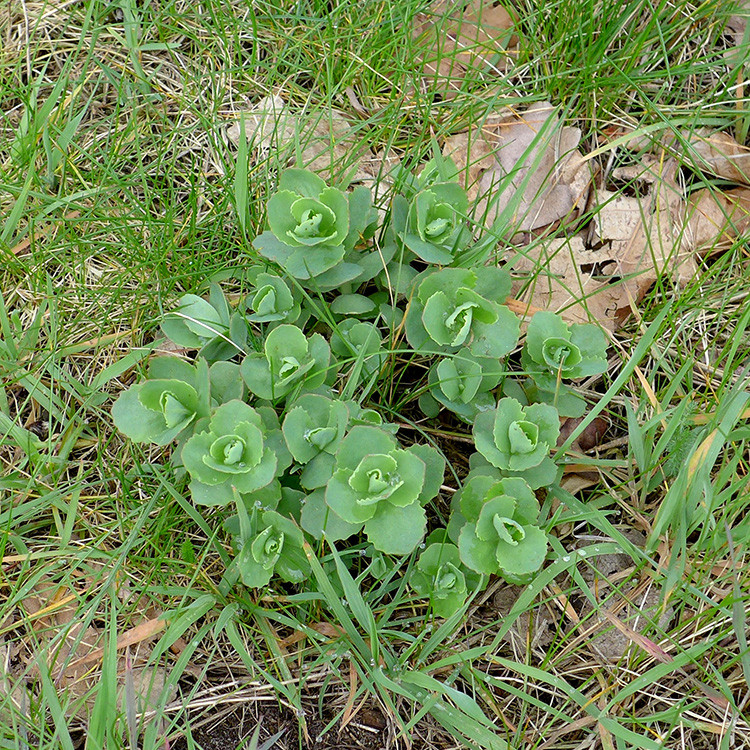Klicke auf die Grafik für eine vergrößerte Ansicht  Name: Weser_584.jpg Ansichten: 0 Größe: 442,5 KB ID: 3194603