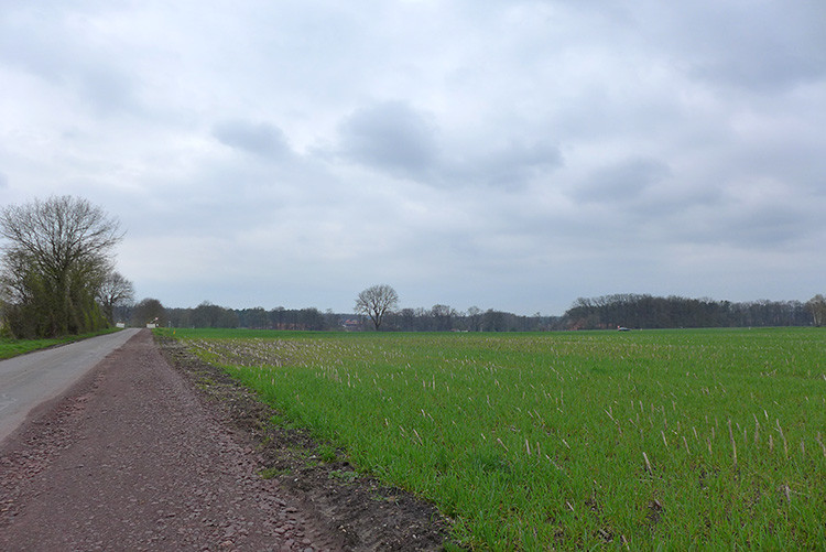 Klicke auf die Grafik für eine vergrößerte Ansicht  Name: Weser_587.jpg Ansichten: 0 Größe: 117,4 KB ID: 3194606