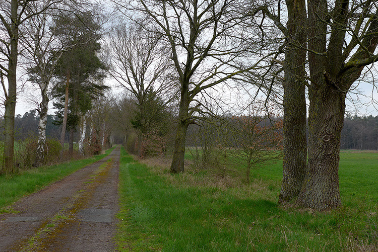 Klicke auf die Grafik für eine vergrößerte Ansicht  Name: Weser_591.jpg Ansichten: 0 Größe: 237,6 KB ID: 3194610