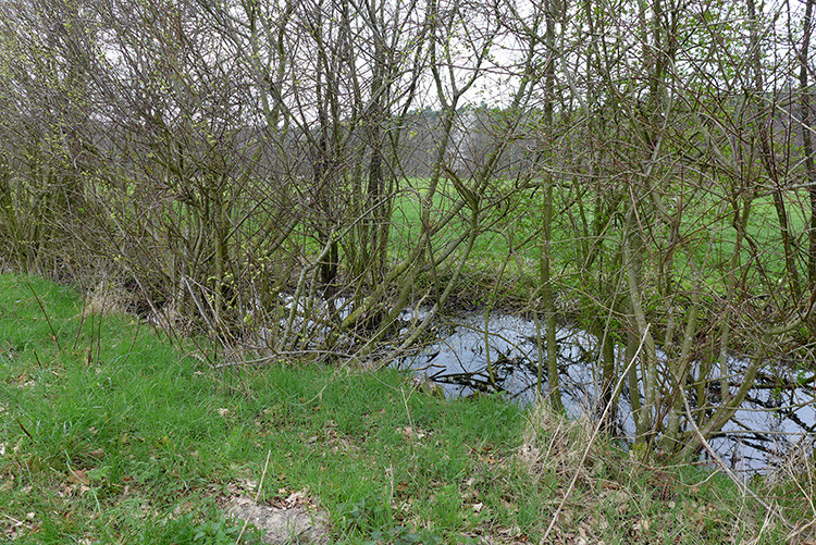 Klicke auf die Grafik für eine vergrößerte Ansicht  Name: Weser_592.jpg Ansichten: 0 Größe: 327,8 KB ID: 3194611