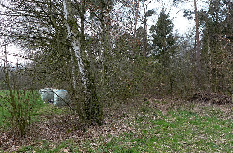 Klicke auf die Grafik für eine vergrößerte Ansicht  Name: Weser_594.jpg Ansichten: 0 Größe: 282,5 KB ID: 3194613
