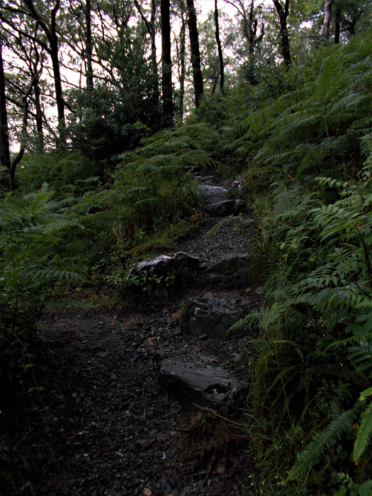 Klicke auf die Grafik für eine vergrößerte Ansicht  Name: 2022-07-25 West Highland Way 018.jpg Ansichten: 0 Größe: 4,12 MB ID: 3195461