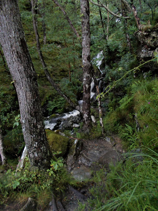 Klicke auf die Grafik für eine vergrößerte Ansicht  Name: 2022-07-25 West Highland Way 022.jpg Ansichten: 0 Größe: 4,23 MB ID: 3195464