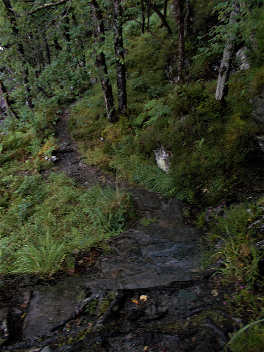 Klicke auf die Grafik für eine vergrößerte Ansicht  Name: 2022-07-25 West Highland Way 032.jpg Ansichten: 0 Größe: 4,40 MB ID: 3195466