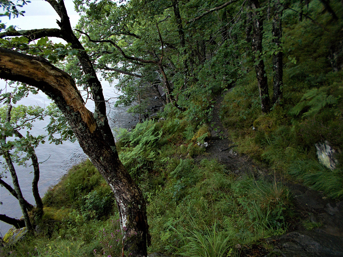 Klicke auf die Grafik für eine vergrößerte Ansicht  Name: 2022-07-25 West Highland Way 034.jpg Ansichten: 0 Größe: 5,12 MB ID: 3195467